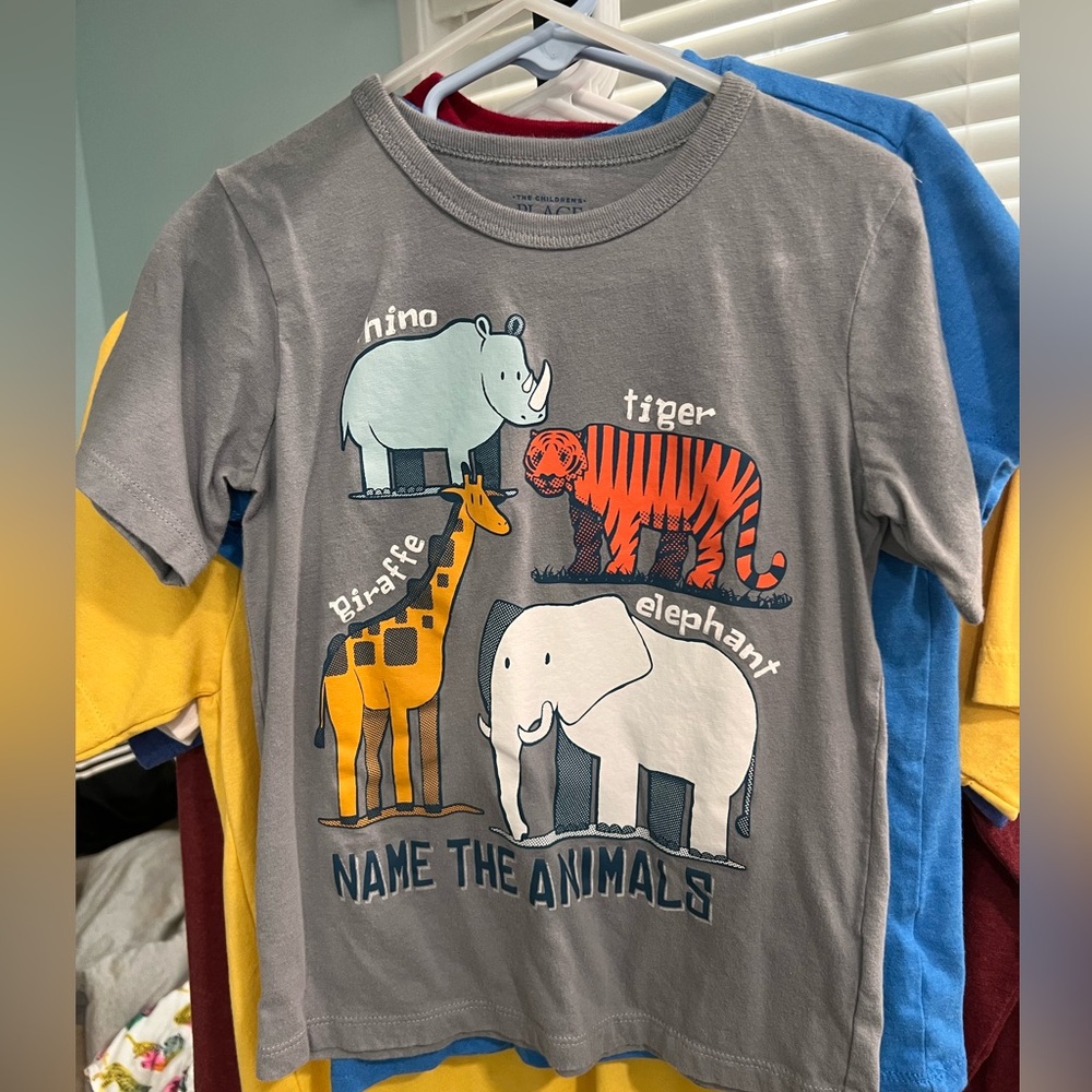 5T Children’s Place Gray graphic tee “Name the Animals”